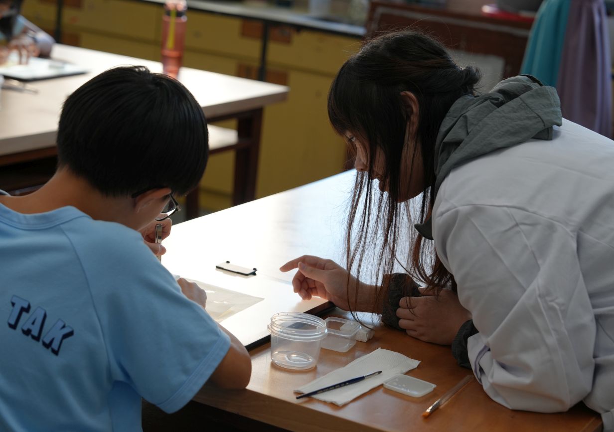 于教育工作坊中示范及指导纸本修补技巧